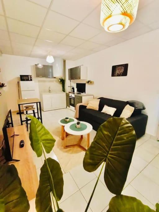 Le Savana Lodge 샤나 외부 사진